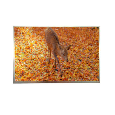 8' IPS FHD LVDS TFT Δείκτης 1000cd Φωτεινότητα 1920*1200 Ανάλυση