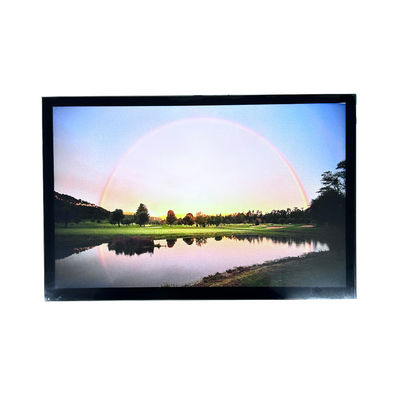 Δείκτης IPS 1280*800 10,1 ιντσών HDTFT TFT LCD με CTP LVDS διεπαφή