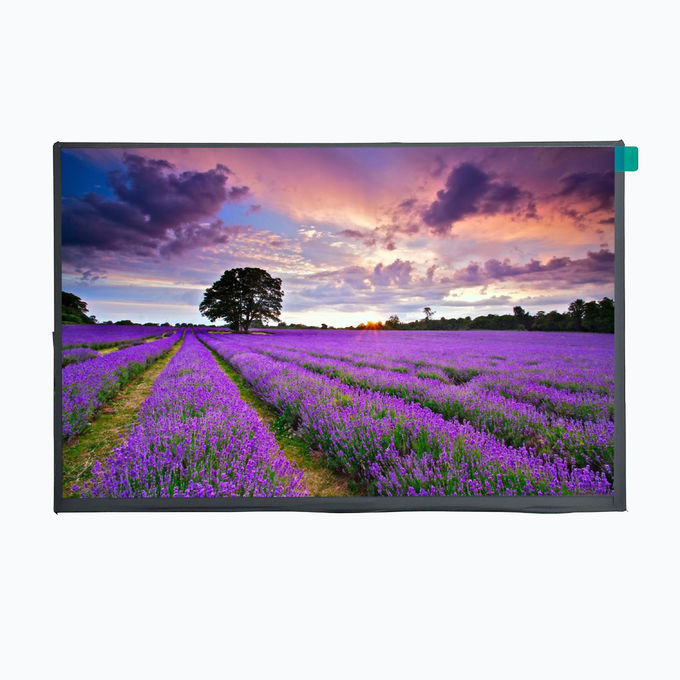 LCD Mall 10,1 ιντσών TFT LCD οθόνη με EM Touch Panel 750cd/m2 1280XRGBX800 ανάλυση 1
