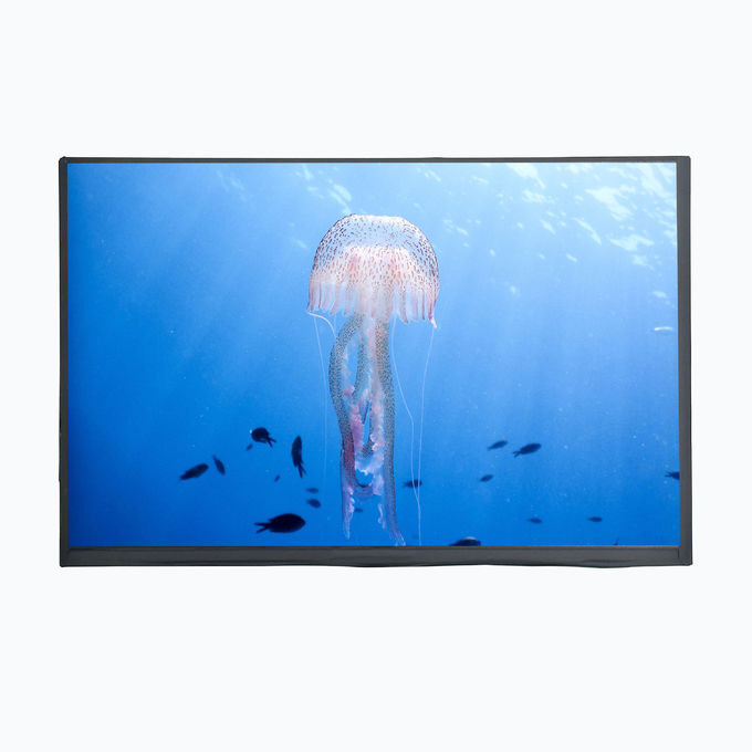 LCD Mall 10,1 ιντσών TFT LCD οθόνη με EM Touch Panel 750cd/m2 1280XRGBX800 ανάλυση 0